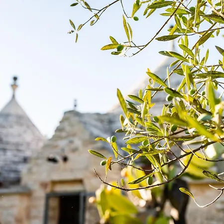 Sopra i Sassi - Villa&Trulli-3